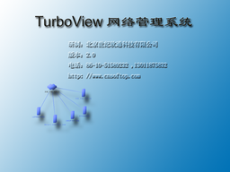 TurboView网络管理系统/100点